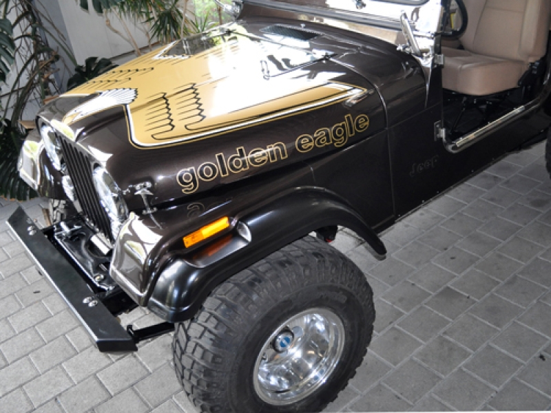 Dekorset Golden Eagle AMC Jeep gold weiss