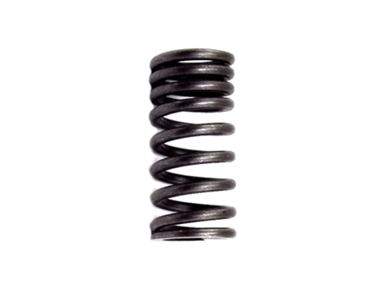 Valve Spring